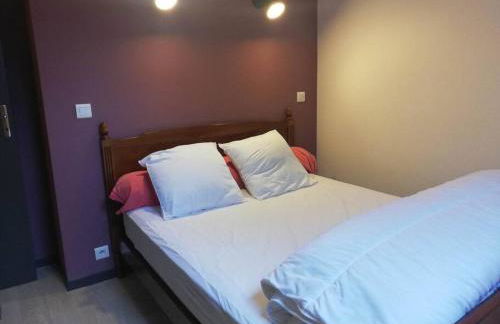 Maison au cœur du Sancy - Foto 12