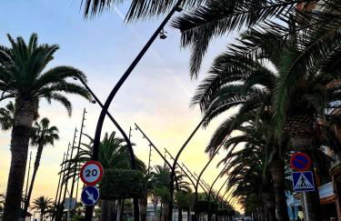 Attic terrace 360 Moncofa - Foto 31