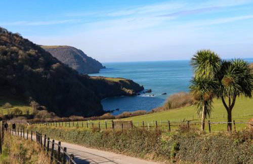 The Old Smithy - Foto 31