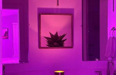 Classy, Cozy, Close to downtown - Foto 19