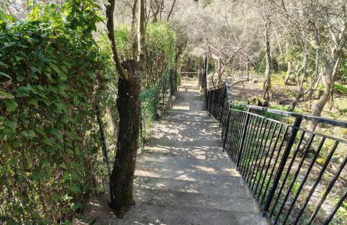 Tellaro, Tramonto sul Golfo - Photo 10