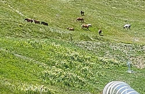 Corbier centre Vostok 32m2 balcon Sud vue pistes Classé Tourisme - Foto 37