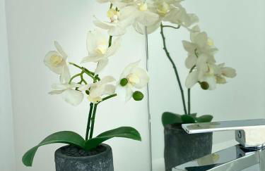 Lourença Stays - Quinta Lourenca - Foto 55