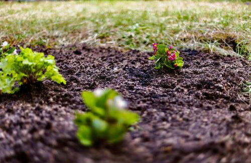 Stylish 3 Bed House - 20 Minutes to London - Foto 8