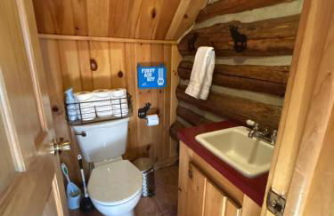 Big Bear Lodge with SAUNA - Foto 34