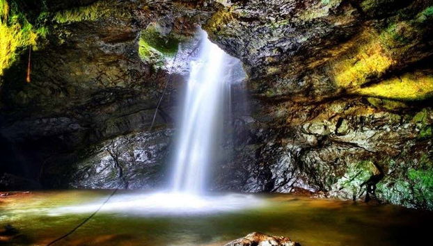 Você ficará impressionado com essa reserva natural colombiana
