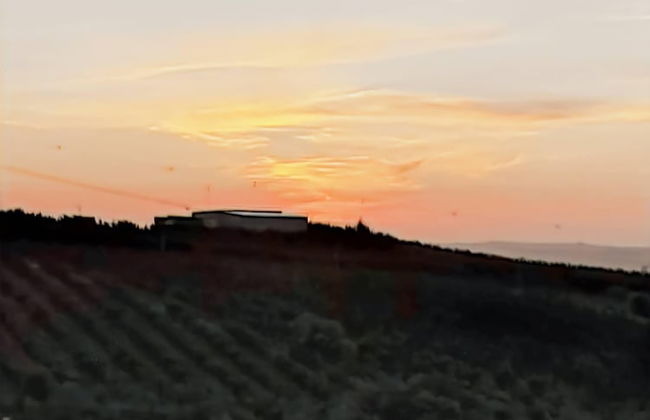 Cozy Vacation Rental in Peaceful Peral, Portugal - Photo 21