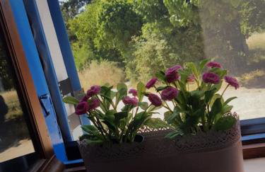 VILLA VICKY - Traditional villa in Evia - Foto 48