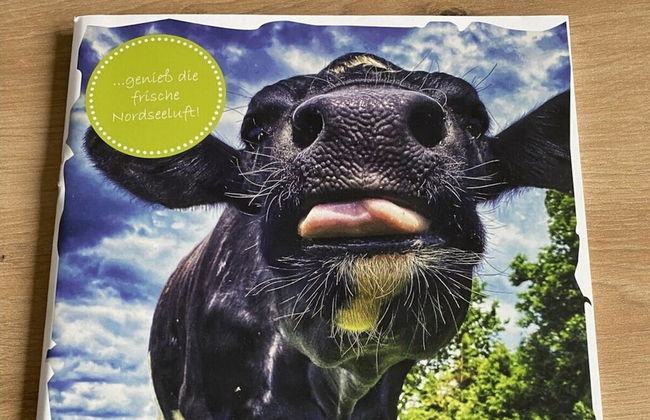 Geest & Moor 2 Modern Retreat - Foto 23