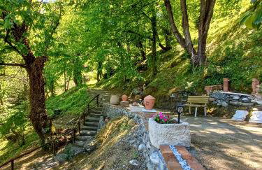 The Mushroom Cottage - Foto 38