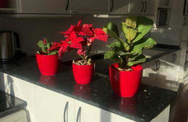 Gran apartamento de 4 habitaciones en Sitges - Foto 19