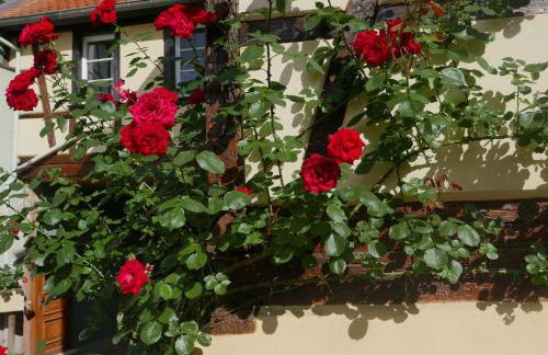 Le Bacchus - Photo 3