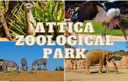 Demi's Apartments Near Athens Airport By SEM - Foto 47