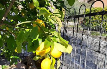 Oma Margareta Apartment - Foto 58