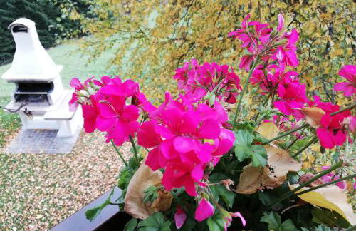 Cesa de Conesel - Foto 56