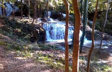 Kaja House Apartments - Foto 48