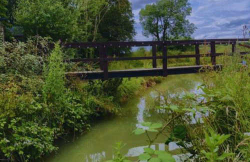 Bears House - Foto 24