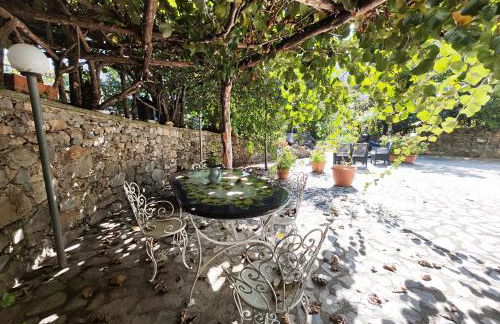 Il Vigneto - Foto 25