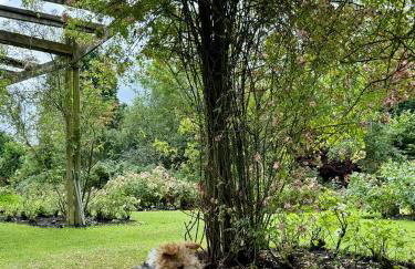 The Architect's Mews - Foto 27