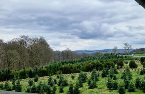 Sonnenhang Apartment - Foto 15