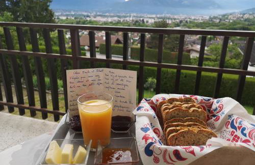 Studio Bellevue appart indépendant rénové 2024 piscine parking proche centre Annecy - Foto 18