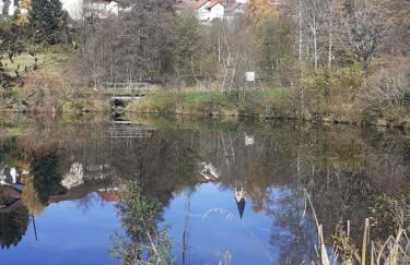 Ferienwohnung Marina in Sankt Englmar, Bayerischer Wald, familienfreundlich - Foto 27