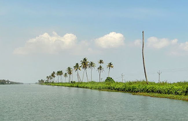 Houseboat Cruise in the Backwaters of Kerala - Foto 5