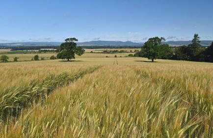 Rowanlea Lodge Hot Tub Secure Garden Pub 5 min walk - Foto 26