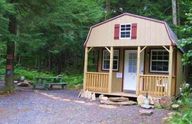 Abrams Creek Center - Foto 2