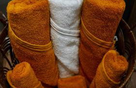 A Cabin in the City with a 5 Star Lush Backyard - Foto 47