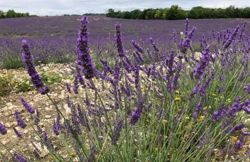 Villa rurale - Foto 23