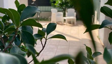 My Happy Place - Foto 3, Garden view