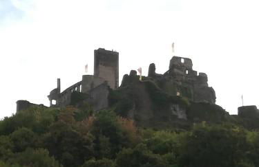 Gästehaus Lavendel an der Mosel - Foto 35