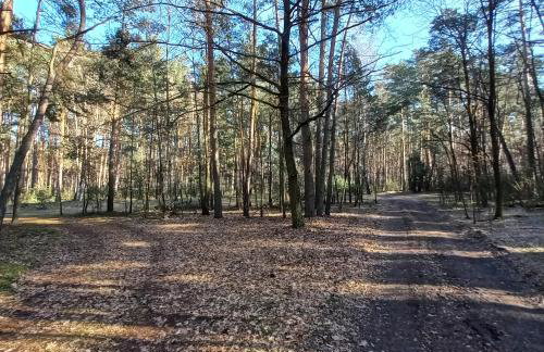 Jeziorskie Zacisze & balia - Foto 28