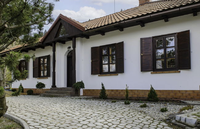 Willa Juszczyn - Foto 1