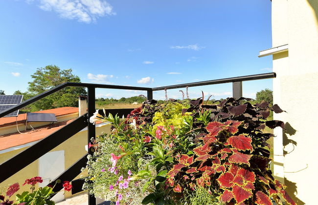 House 1044 - Foto 42