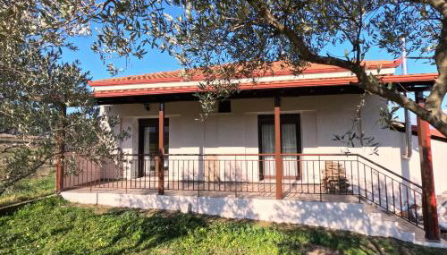 Villa Despina-Aloro-Loutra Pozar - Foto 5