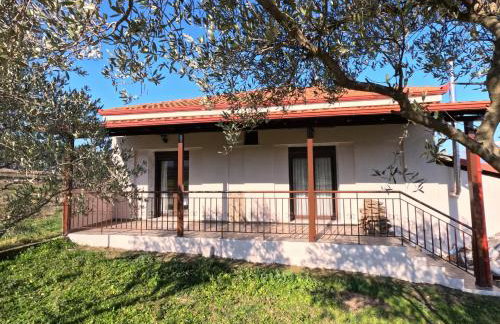 Villa Despina-Aloro-Loutra Pozar - Photo 5