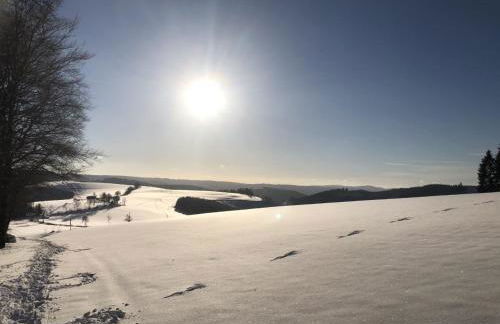 Jagthaus am Rappelstein - Foto 38