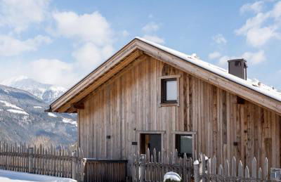 DILIA Chalets & Apartments - Foto 8