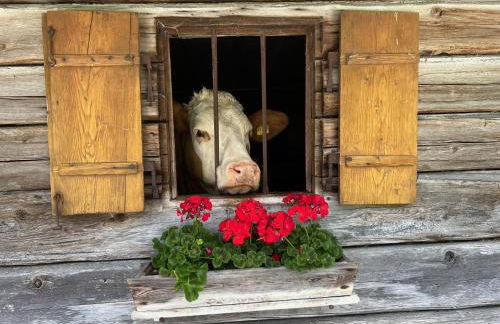 Ferienwohnung Klausgraben - Foto 6