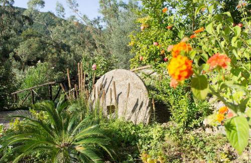 Agriturismo a Canonica - Foto 30