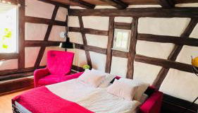 Hufschmiede Fachwerkhaus - Ludwig Suite - Foto 3