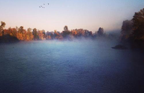 Charming 1914 Craftsman Home - Photo 31