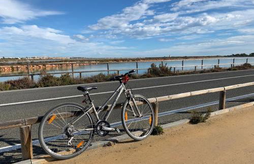 Barnuevo 3 - Foto 23