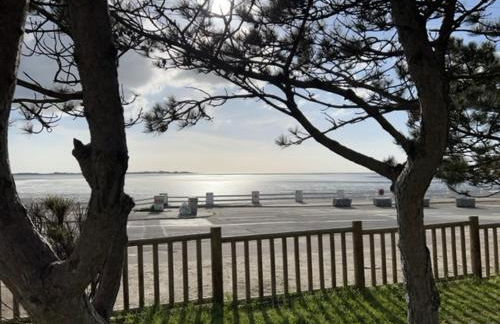 Ma Rosalie - Foto 17