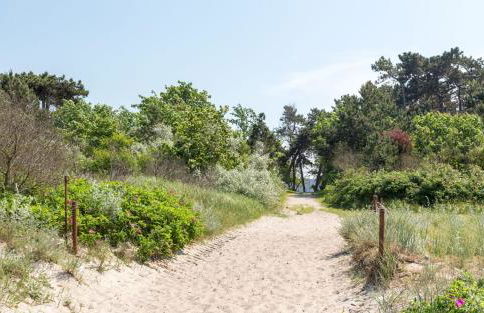 Villa Schmidt Apartments - Strandhaus direkt am Meer mit Sauna, Sport und Dünengarten - Studio - Foto 36