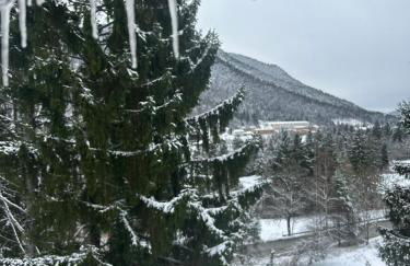 Melodia del bosco - Photo 23