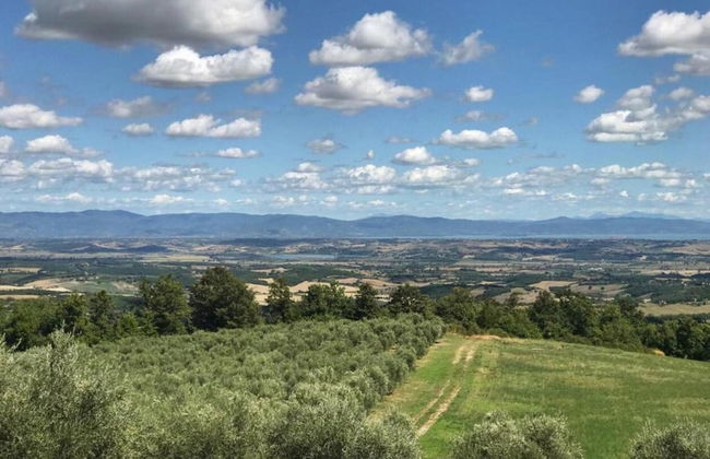 Villa With Pool in Sarteano - Foto 36