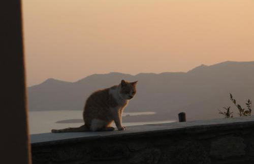 Balkonikarystos (To Mpalkoni tis Karistou) - Foto 12